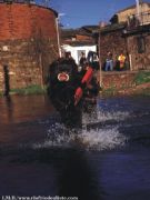 CAROCHO GRANDE CRUZANDO EL RIO